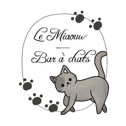 Le Miaouw Coffee Cat J Adopte Un Projet Votre Plateforme De Crowdfunding En Nouvelle Aquitaine