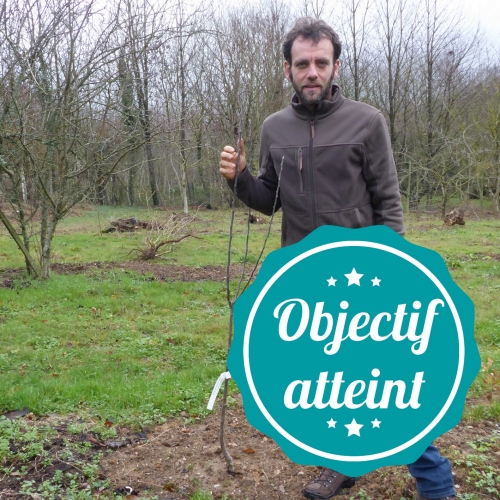 Adopte Un Arbre Fruitier J Adopte Un Projet Votre Plateforme De Crowdfunding En Nouvelle Aquitaine