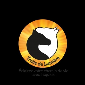 image pour vignette logo 100 jours traits de Lumiere Anne MOINARD HILD