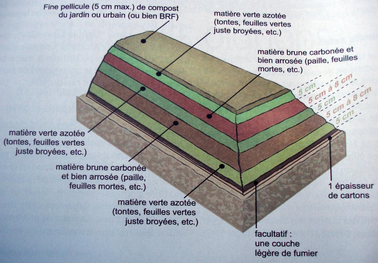 Description du fonctionnement d'une butte de culture