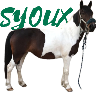 Syoux