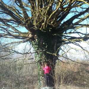 Photo profil un oasis du mieux etre