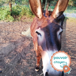 photo profil pouvoir citoyen SEE v4