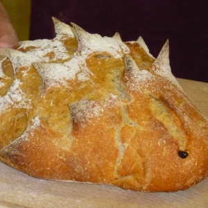 vignette ca chauffe au fournil