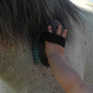 vignette ferme equestre