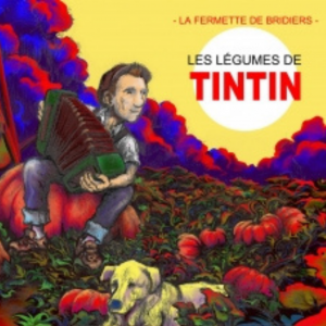 vignette les legumes de tintin