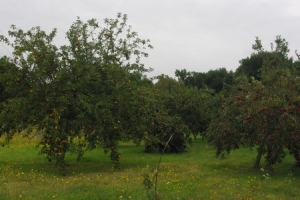 La Ferme du Maine sur Jarde