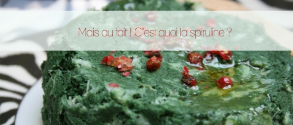 slide icares spiruline 7